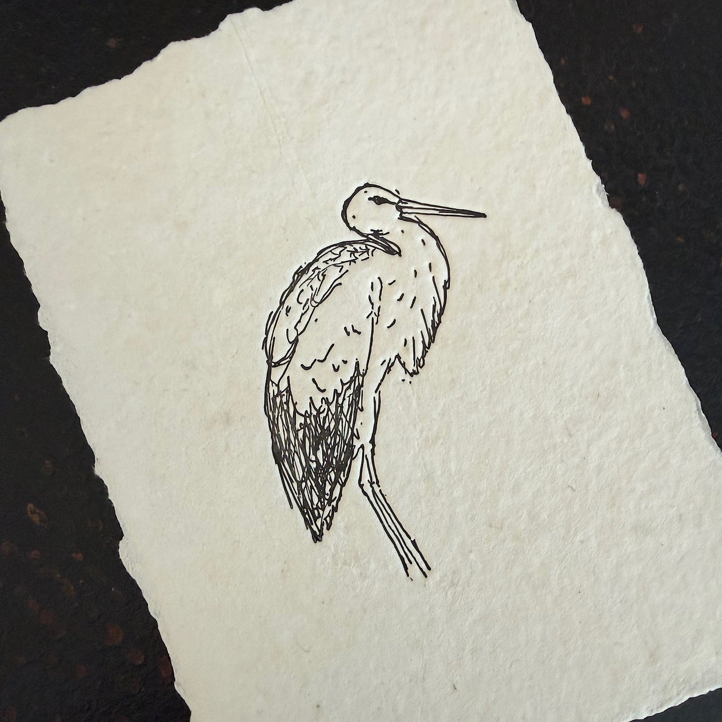 The Heron Print