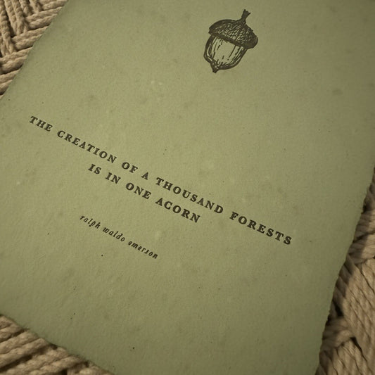 The Acorn Print
